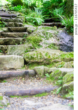 京都市左京区大原来迎院町 三千院(声明発祥の地) 参道 京都市左京区大原来迎院町 三千院(声明発祥の地) 参道 118785417