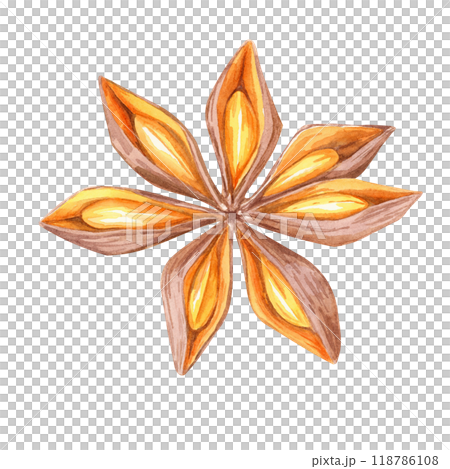 A star anise in warm brown and orange tones. Watercolor illustration ideal for spice-themed designs, culinary blogs, and kitchen decor. Perfect for enhancing holiday cards and food packaging 118786108