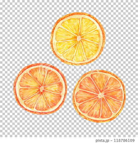 Orange slices in bright orange colors. Watercolor illustration for food blogs, cookbooks, and summer party decor. Citrus clipart for beverage labels, menu, invitation, juice and recipe cards 118786109