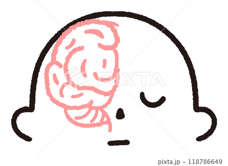 顔の上半分と脳の半分 ストック素材 顔の上半分と脳の半分 ストック素材 118786649