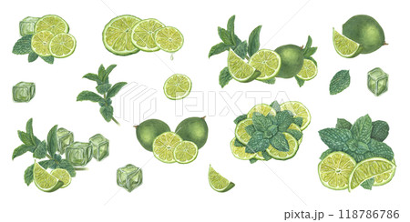 Lime whole and slices, green mint leaves and ice cubes watercolor realistic summer illustration clip art. Botanical beach fresh ripe fruits for drink decor posters, celebration design, cocktail party Lime whole and slices, green mint leaves and ice cubes watercolor realistic summer illustration clip art. Botanical beach fresh ripe fruits for drink decor posters, celebration design, cocktail party 118786786