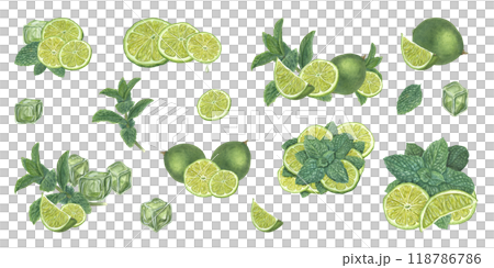 Lime whole and slices, green mint leaves and ice cubes watercolor realistic summer illustration clip art. Botanical beach fresh ripe fruits for drink decor posters, celebration design, cocktail party 118786786