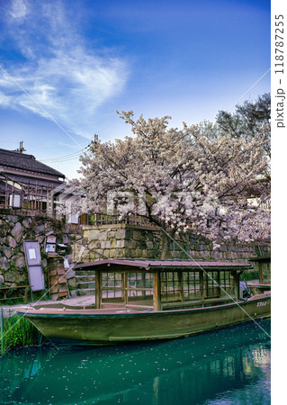 八幡堀の桜咲く季節2023 118787255