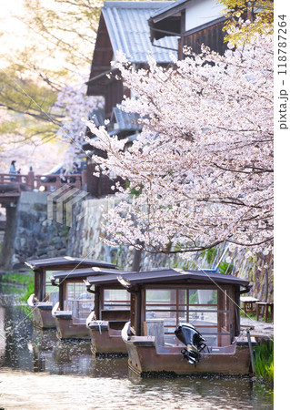 八幡堀の桜咲く季節2023 118787264