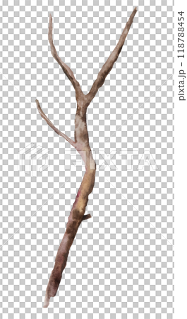 Watercolor brown defoliated tree branch, Rustic or Boho Wedding isolated illustration 118788454