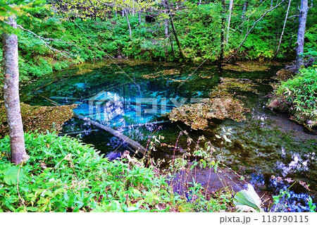 神の子池　(北海道清里町) 118790115