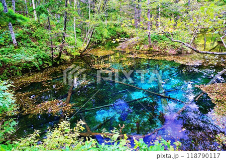 神の子池　(北海道清里町) 118790117