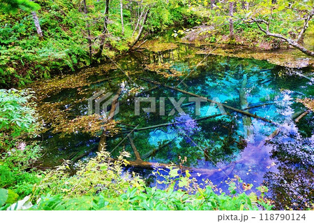 神の子池　(北海道清里町) 118790124
