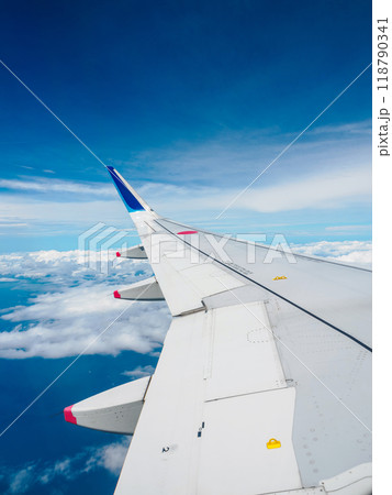 飛行機の左翼 118790341