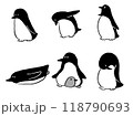 ゆるいペンギン 118790693