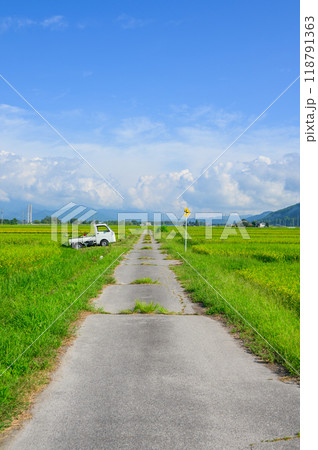 【夏】軽トラと水田と一本道【大町市】 118791363