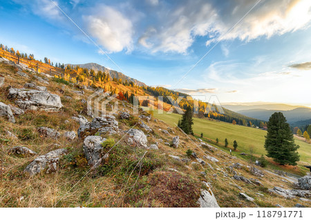 Astonishing view of mountains and valleys with larch forest and wonderful sky are located in Filzmoos 118791771