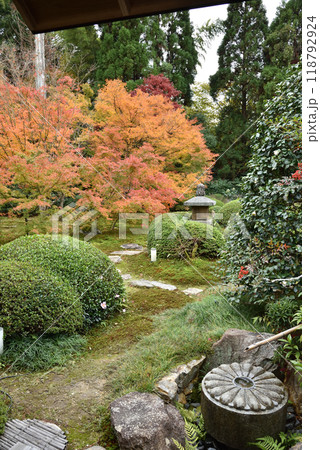 雲龍院　境内中庭　秋 118792924