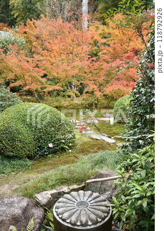 雲龍院　境内中庭　秋 118792926