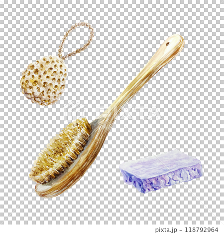 Scrub brush, loofah sponge, soap. Lavender SPA procedure. Hand drawn watercolor illustration isolated on white. For certificates and invitations, postcards, posters, banners, menu. Scrub brush, loofah sponge, soap. Lavender SPA procedure. Hand drawn watercolor illustration isolated on white. For certificates and invitations, postcards, posters, banners, menu. 118792964