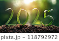 Numbers 2025 from green leaves background of nature. Eco-friendly Christmas banner for environmental protection. 118792972