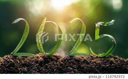 Numbers 2025 from green leaves background of nature. Eco-friendly Christmas banner for environmental protection. 118792972