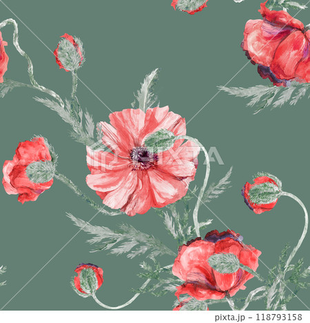 Seamless botanical watercolor pattern with poppies on a white background 118793158