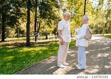 Full length shot of elderly gray-haired man and woman enjoying sunny day outdoors, talking and gesturing while taking walk together in tree-lined park, embodying love and happiness in retirement. 118793165