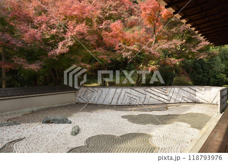 秋の龍吟庵　西庭「龍の庭」 118793976