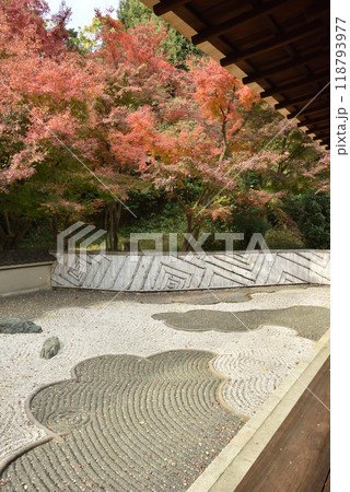 秋の龍吟庵　西庭「龍の庭」 118793977