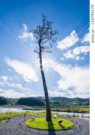 「岩手県」奇跡の一本松・陸前高田市 「岩手県」奇跡の一本松・陸前高田市 118794279