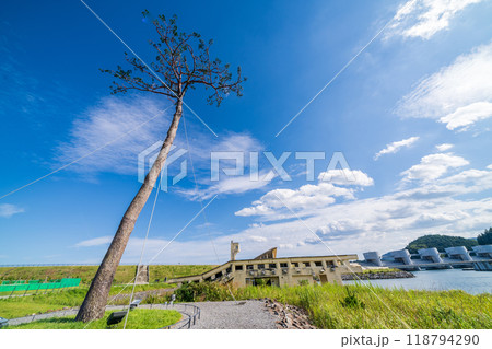 「岩手県」奇跡の一本松・陸前高田市 118794290