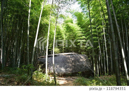 明日香・益田岩船 118794351
