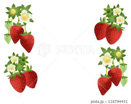 いちごの実と花の壁紙 水彩風手描きイラスト いちごの実と花の壁紙 水彩風手描きイラスト 118794431