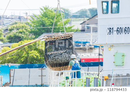 「青森県」八戸港 第一魚市場でのイワシの水揚げ・八戸市 「青森県」八戸港 第一魚市場でのイワシの水揚げ・八戸市 118794433