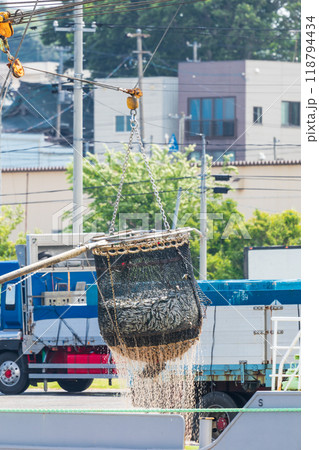 「青森県」八戸港　第一魚市場でのイワシの水揚げ・八戸市 118794434