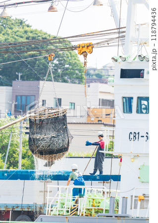 「青森県」八戸港　第一魚市場でのイワシの水揚げ・八戸市 118794436