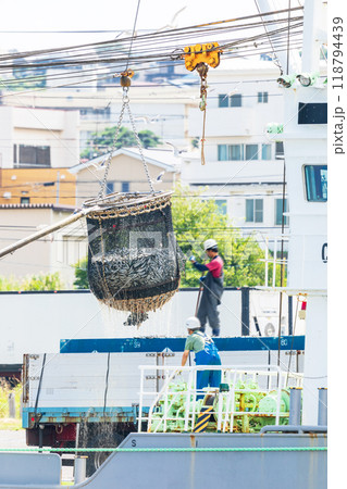 「青森県」八戸港 第一魚市場でのイワシの水揚げ・八戸市 「青森県」八戸港 第一魚市場でのイワシの水揚げ・八戸市 118794439
