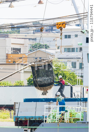 「青森県」八戸港　第一魚市場でのイワシの水揚げ・八戸市 118794441