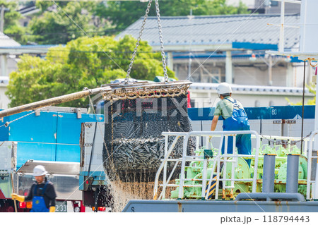「青森県」八戸港　第一魚市場でのイワシの水揚げ・八戸市 118794443