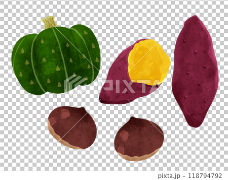 さつまいも、栗、かぼちゃ 水彩風手描きイラストセット さつまいも、栗、かぼちゃ 水彩風手描きイラストセット 118794792