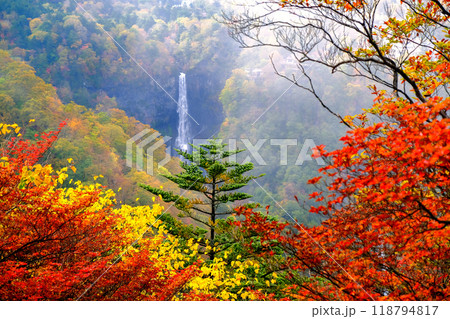 紅葉と霧の華厳の滝 118794817