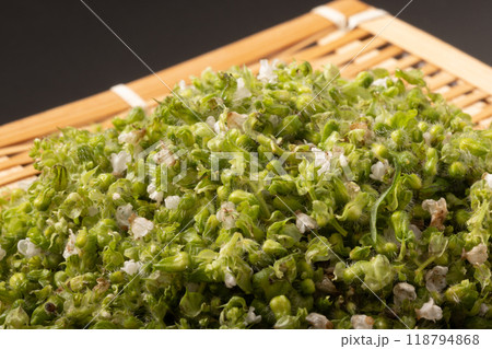 しその実 118794868