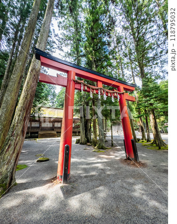 Kongobu-ji temple in Koya, Ito District, Wakayama, Japan 118795032