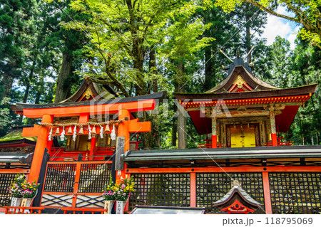 Kongobu-ji temple in Koya, Ito District, Wakayama, Japan 118795069