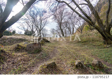奈良県宇陀郡曽爾村のゴロゴロとした岩のある秋の屏風岩公苑 奈良県宇陀郡曽爾村のゴロゴロとした岩のある秋の屏風岩公苑 118795217