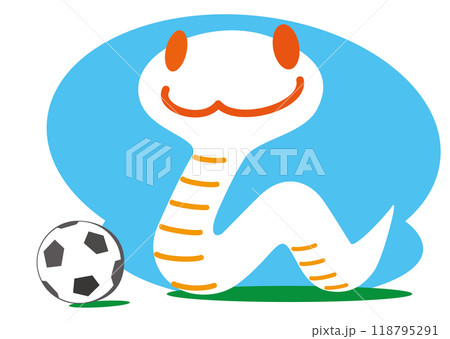 サッカーを楽しむ巳 118795291