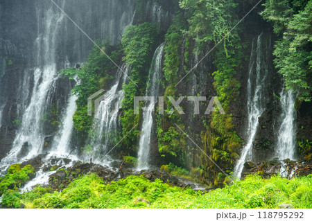 Shiraito Falls, Shiraito no Taki, in Fujinomiya, Shizuoka, Japan 118795292