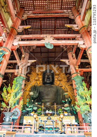 Todai-ji temple in Nara, japan 118795293