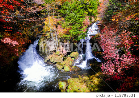 紅葉の竜頭の滝 紅葉の竜頭の滝 118795331