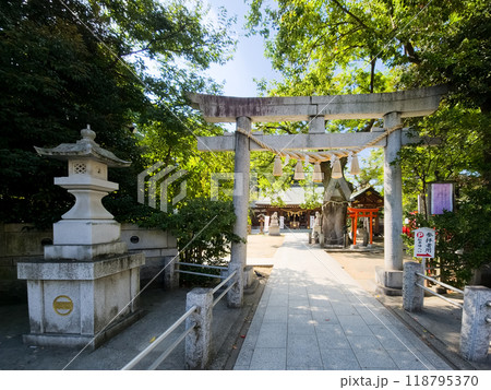 東京都大田区 新田神社 参道 東京都大田区 新田神社 参道 118795370
