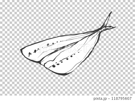 イワシの和風手描き線画イラスト 118795607