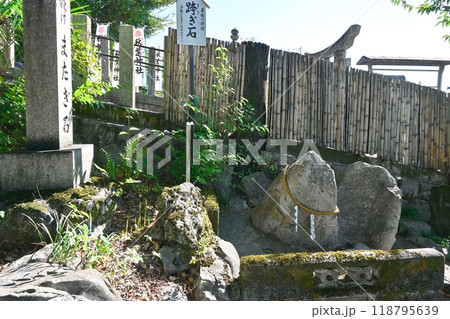 子安神社の子授け跨ぎ石 子安神社の子授け跨ぎ石 118795639