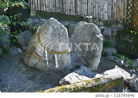 子安神社の子授け跨ぎ石 118795640