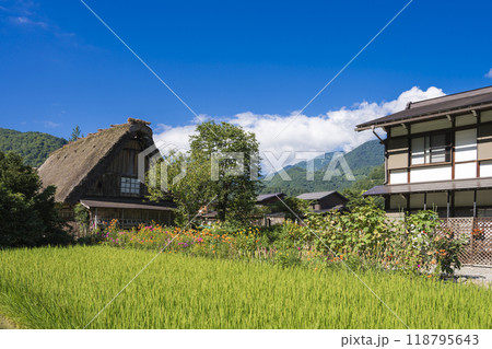 白川郷の美しい風景 白川郷の美しい風景 118795643